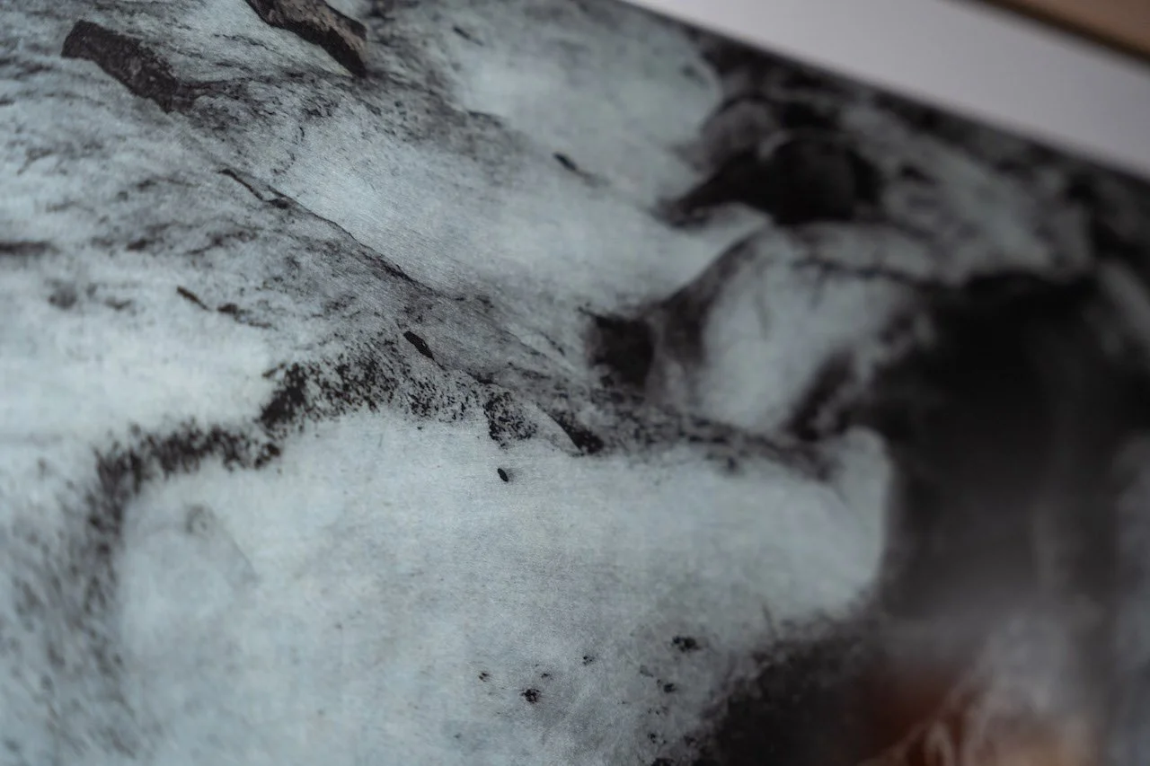 The Last Glaciers of Akshayuk Pass {Baffin Island} | KAI LIN ART